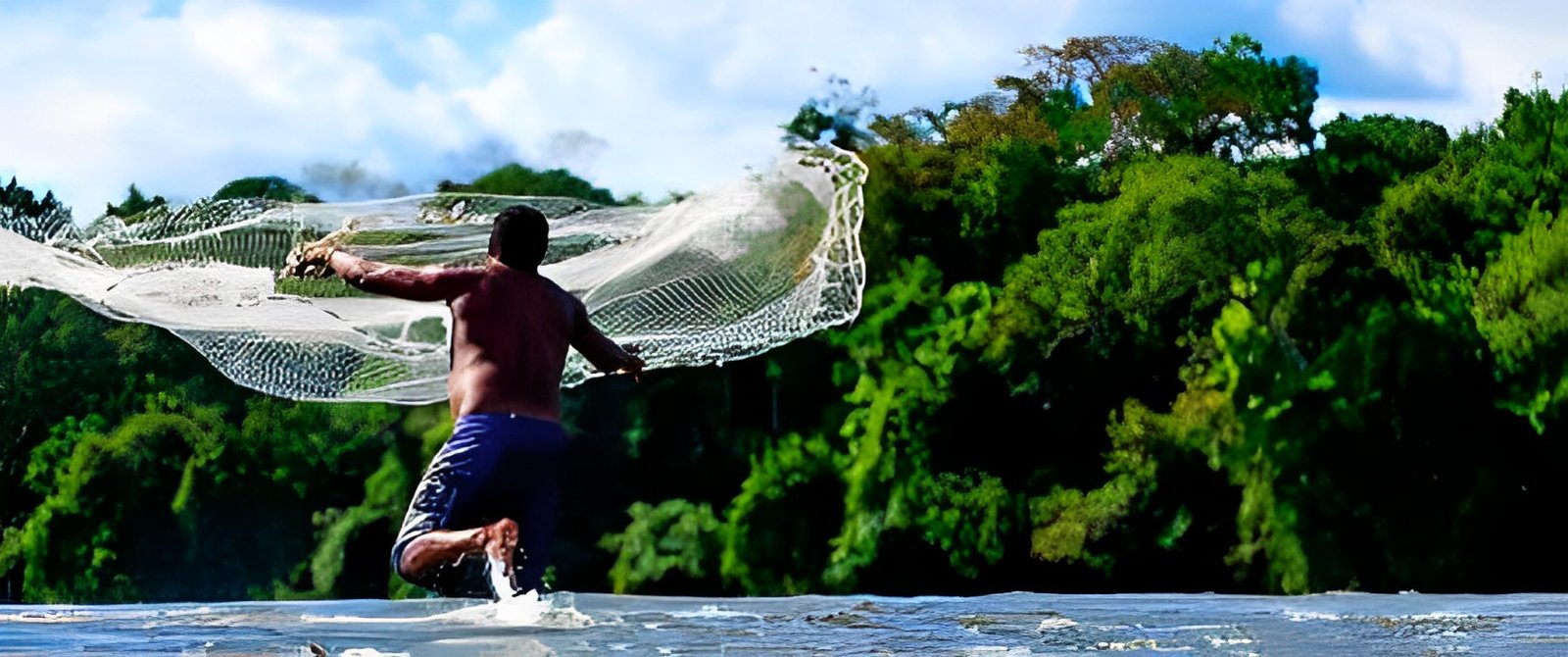 previsia_f1-1 (1) (1)