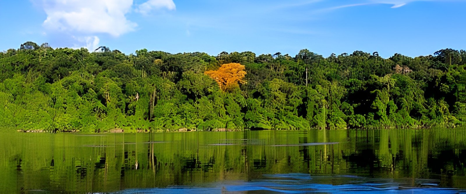 previsia_f2-1 (1) (1)